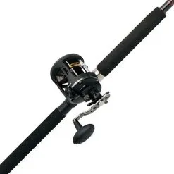 Penn Warfare 661 Rod And 20LW Reel Combo
