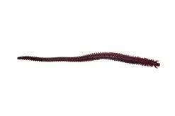Berkley Gulp Sandworm 6 Inch Soft Plastic Lures