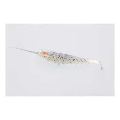 Squidgies Original Paddle Tail Prawn Soft Plastic Lure -Tackle Storage Shop BP90183824 white lightning