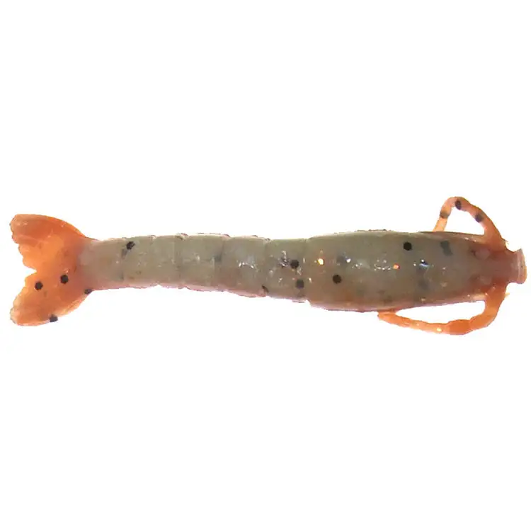 Berkley Gulp Shrimp 2 Inch Soft Plastic Lure 7 Berkley Gulp Shrimp 2 Inch Soft Plastic Lure - Image 7