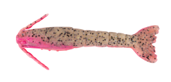Berkley Gulp Shrimp 3 Inch Soft Plastic Lure -Tackle Storage Shop Berkley Gulp Shrimp Soft Plastic Pink Belly Shrimp f7ce0203 59bf 4b33 bb52 915784537a35