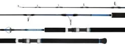 Daiwa 21 Monster Mesh Spin Rod