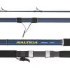 Daiwa 21 Saltiga Surf Spin Rod