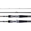 Daiwa 22 TD Zero Baitcast Rod