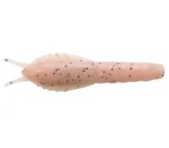 Ecogear Aqua Bream Prawn 40mm Soft Plastic Lure -Tackle Storage Shop Ecogear Aqua Bream Prawn AU01