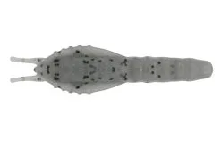 Ecogear Aqua Bream Prawn 50mm Soft Plastic Lure 21 Ecogear Aqua Bream Prawn 50mm Soft Plastic Lure -Tackle Storage Shop Ecogear Aqua Bream Prawn AU04