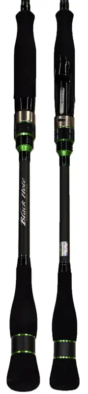 NS Black Hole Blackwater EGI Spin Rod