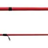 NS Black Hole KN Spin Rod