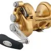 Penn International Game Fishing Overhead Reel 12VI