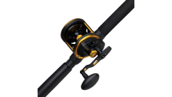 Penn Squall 30LD Reel And 661LM Rod Overhead Combo