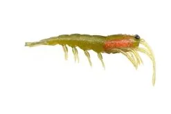 Pro Lure Prolure Clone Prawn Soft Plastic Lure 92mm 11 Pro Lure Prolure Clone Prawn Soft Plastic Lure 92mm -Tackle Storage Shop ProlureClonePrawnSoftPlastic GreenTiger 37ae14ca 9dcd 4363 99a4 4c496f935e8d