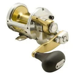 Shimano Talica Overhead Reel -Tackle Storage Shop Shimano Talica Overhead Reel TAC8 10