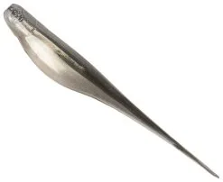 Zman Streakz 3.75 Inch Soft Plastic Lure 28 Zman Streakz 3.75 Inch Soft Plastic Lure -Tackle Storage Shop Smelt Zman Streakz