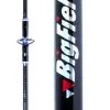 Sure Catch Big Field Surf Rod