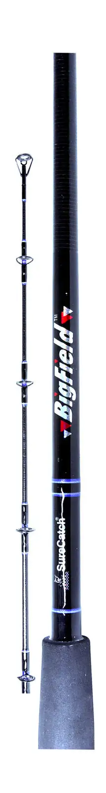 Sure Catch Big Field Surf Rod