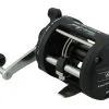 Shimano Charter Special Overhead Reel - TR200LD