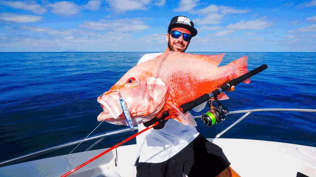 Zeikel Bloodline 51 PE 4-8 Spinning Rod 2 Zeikel Bloodline 51 PE 4-8 Spinning Rod - Image 2